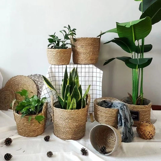 Wicker Planter Basket